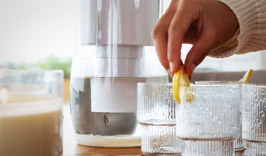 Free of BPAs and phthalates Free of BPAs and phthalates