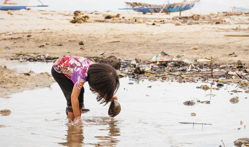 Heavy Metals Harmful Effects on the Environment Heavy Metals Harmful Effects on the Environment