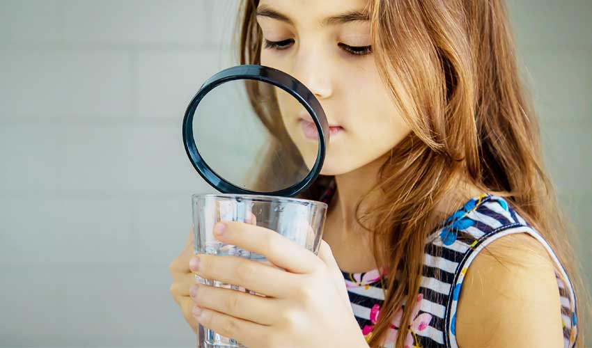 How a Water Filter Pitcher Removes Heavy Metals How a Water Filter Pitcher Removes Heavy Metals