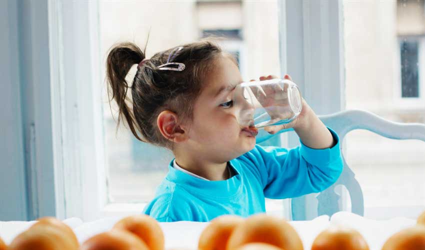 How to Choose the Right Water Filter Jug