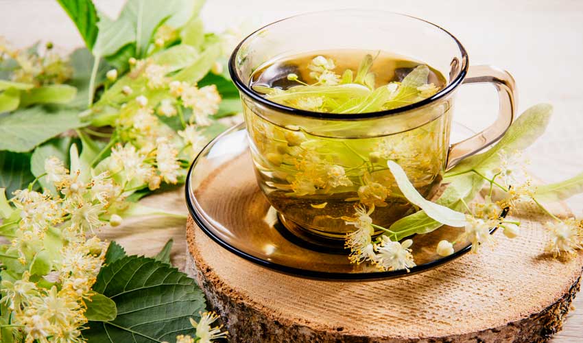 Refreshing Herbal Infusions Refreshing Herbal Infusions