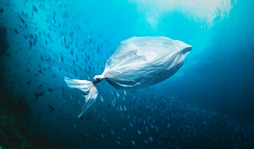 Reusable Stainless Steel Bottles Won't Ruin Bags Reusable Stainless Steel Bottles Won't Ruin Bags