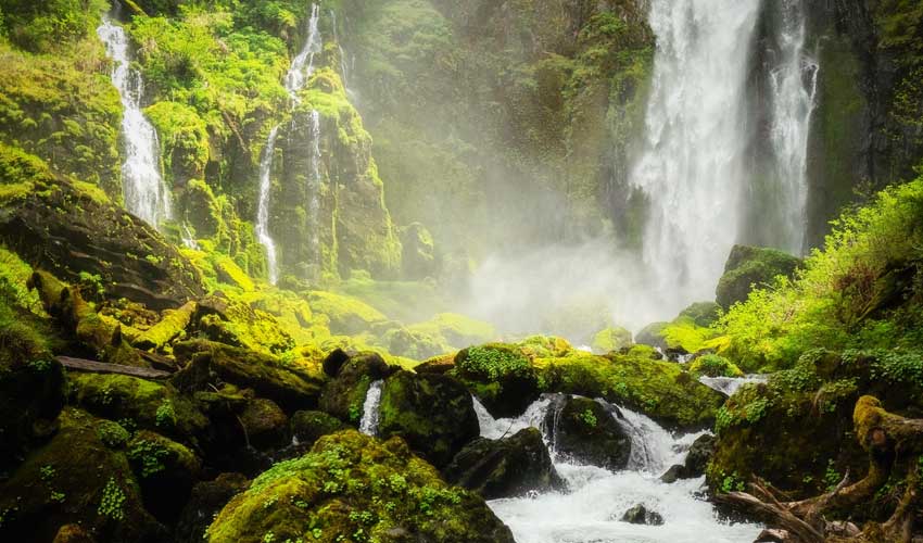 spring water spring water