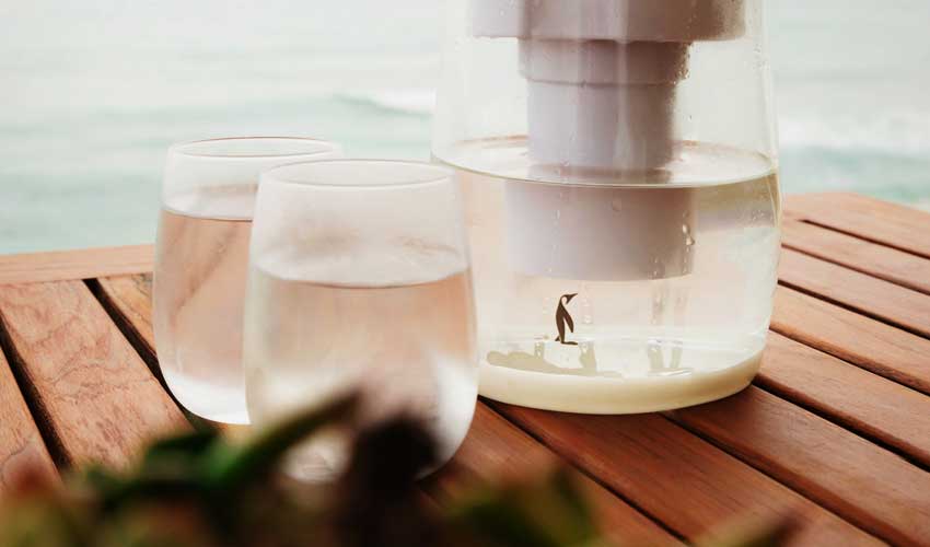Supporting Eco-Friendly Living Supporting Eco-Friendly Living