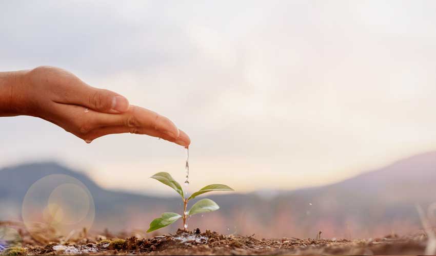 Practical Tips for Embracing a Green Lifestyle Practical Tips for Embracing a Green Lifestyle