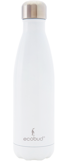 stainless steel water bottle
