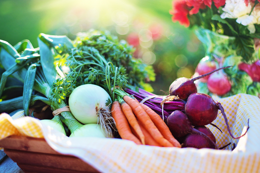 Alkaline Diet