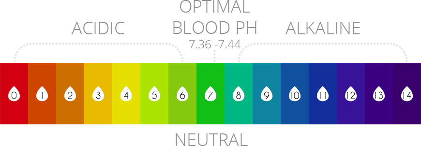 Acidic Vs Alkaline Ph Chart