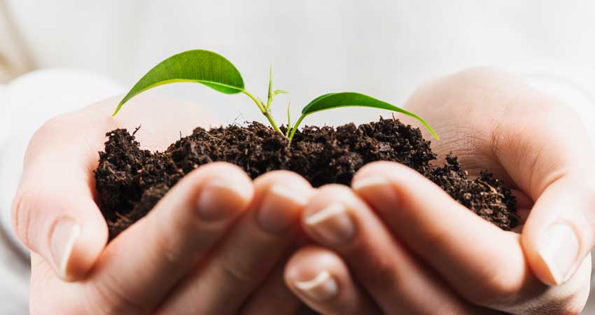 helps the environment helps the environment