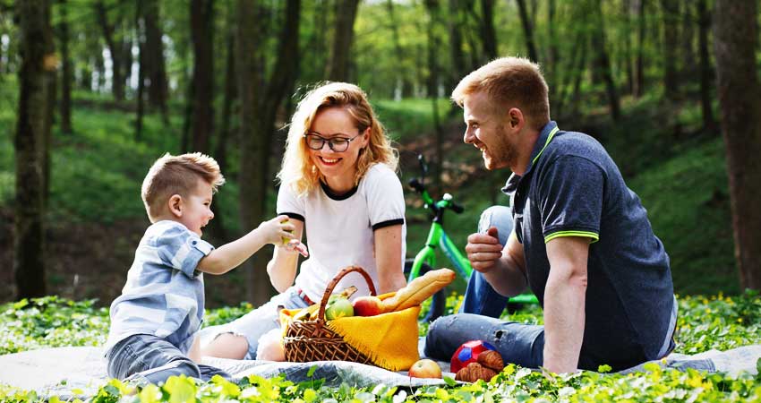 picnic at park picnic at park