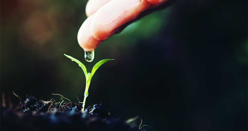 better for the environment better for the environments