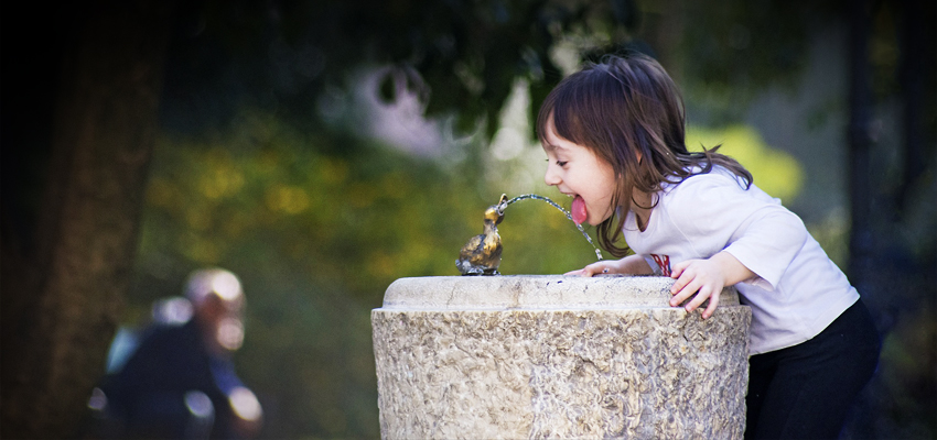 water fountain drinking from water fountain in the park